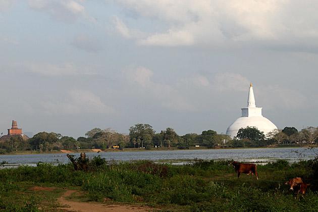 Hotel Flamingo Anuradhapura Zewnętrze zdjęcie