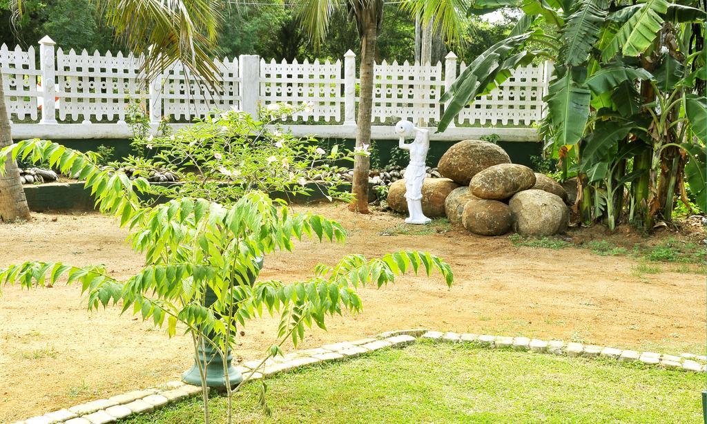 Hotel Flamingo Anuradhapura Zewnętrze zdjęcie