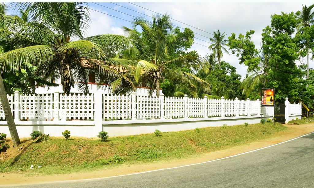 Hotel Flamingo Anuradhapura Zewnętrze zdjęcie